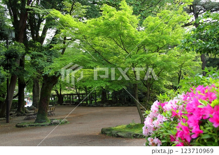 春の織田信長の城下町・16（岐阜公園） 123710969