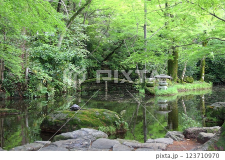 春の織田信長の城下町・17（岐阜公園） 123710970