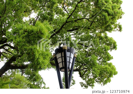 春の織田信長の城下町・21（岐阜公園） 123710974