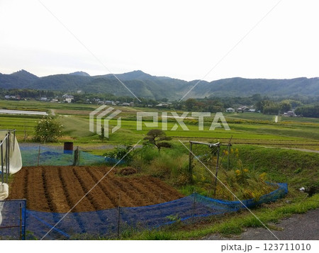 田園 田園 123711010