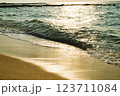 砂浜に打ち寄せる波 123711084