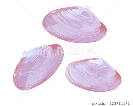 桜貝 桜貝 123711171