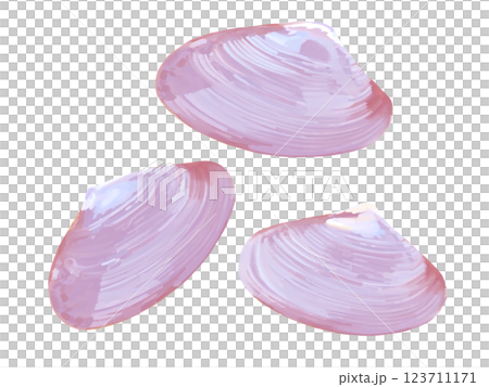 桜貝 桜貝 123711171