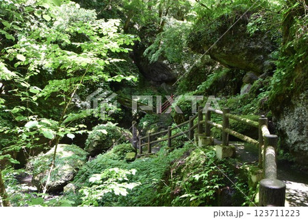 千厳渓(富山県上市町) 123711223