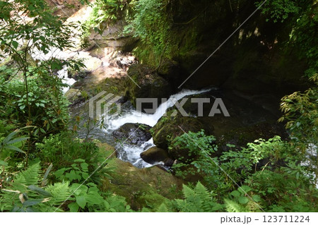 千厳渓(富山県上市町) 123711224