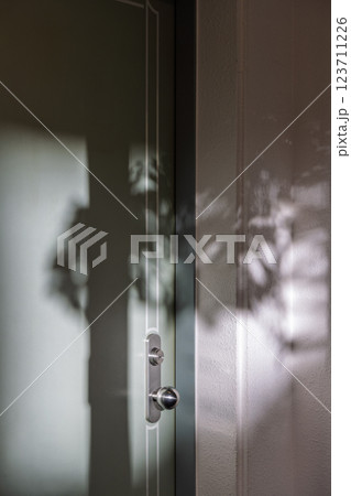 部屋の扉に落ちる庭の木の葉の影 123711226