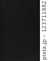 マットブラックのパンチングメタル_素材テクスチャ 123711882