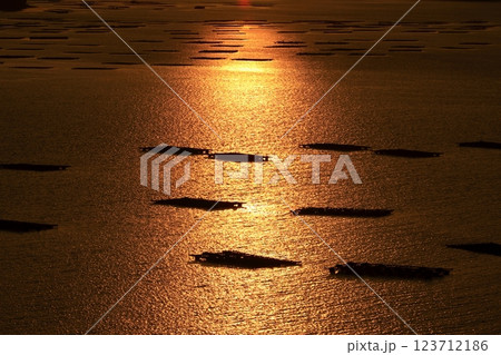 輝く瀬戸の海に浮かぶ牡蠣筏 123712186
