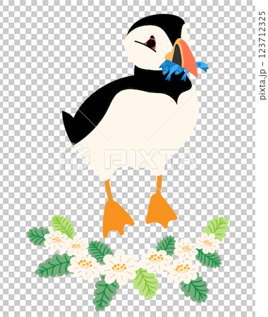 Bird Week Puffin Wild Bird Bird 123712325