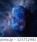 月に照らされる地球 123712481