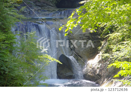 夏の西沢渓谷・七ッ釜五段の滝 123712636