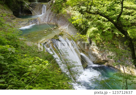 夏の西沢渓谷・七ッ釜五段の滝 夏の西沢渓谷・七ッ釜五段の滝 123712637