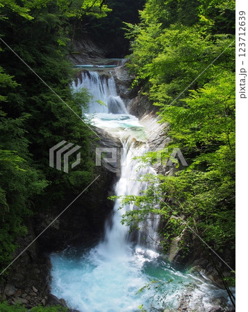 夏の西沢渓谷・七ッ釜五段の滝 夏の西沢渓谷・七ッ釜五段の滝 123712639