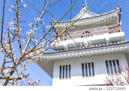 常滑市、大野城模擬天守と梅の花 123712643
