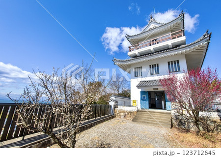 常滑市、城山公園の大野城模擬天守 123712645