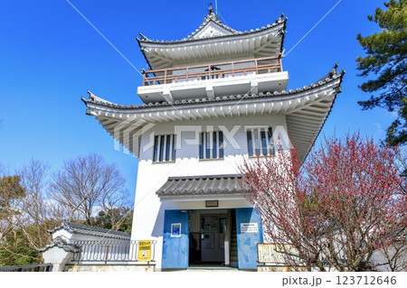 常滑市、城山公園の大野城模擬天守 123712646