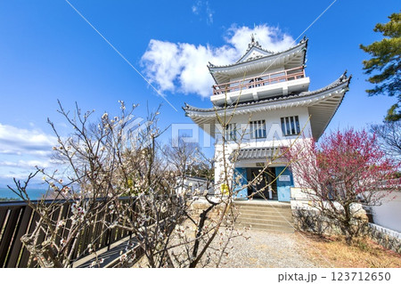常滑市、城山公園の大野城模擬天守 123712650