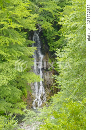 夏の西沢渓谷・大久保の滝 夏の西沢渓谷・大久保の滝 123712826