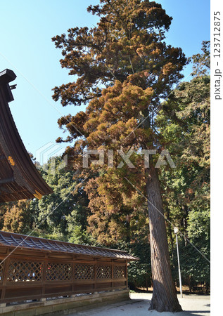 埼玉県東松山市箭弓町　国の重要文化財　箭弓稲荷神社 123712875