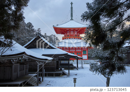 雪の降った日の高野山根本大塔 雪の降った日の高野山根本大塔 123713045