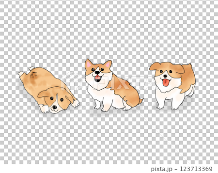 Three cute smiling corgi puppies Three cute smiling corgi puppies 123713369