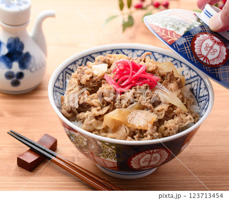 牛丼 イメージ 123713454