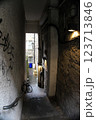 エジンバラ旧市街の建物を抜ける通路 123713846