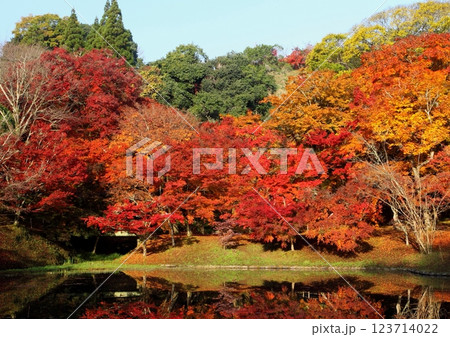 秋の用作公園（豊後大野市） 123714022