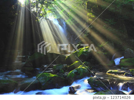 美しい光芒の出る夫婦滝（熊本県南小国町） 123714026