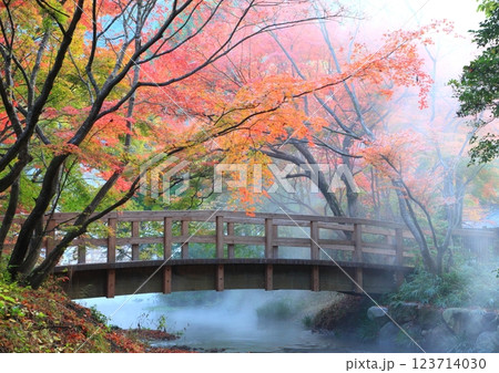 霧の由布院(金鱗湖・由布市湯布院町) 霧の由布院(金鱗湖・由布市湯布院町) 123714030