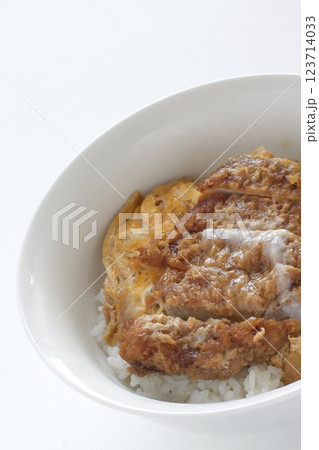 おいしいカツ丼 123714033