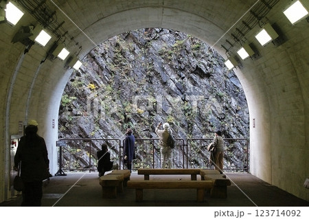 柱状節理【新潟県十日町市】 柱状節理【新潟県十日町市】 123714092