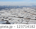 飛行機から見る十勝平野 123714182