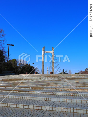 晴れた日のスカイツリー 123714204