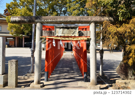 埼玉県東松山市箭弓町　国の重要文化財　箭弓稲荷神社内穴宮稲荷 123714302