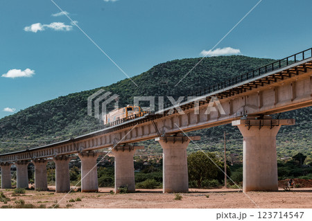 Mombasa Nairobi Standard Gauge Railway, completed in 2017, was built as the first phase of the Kenya Standard Gauge Railway. It is a standard gauge railway in Kenya that connects the large Indian Ocea 123714547