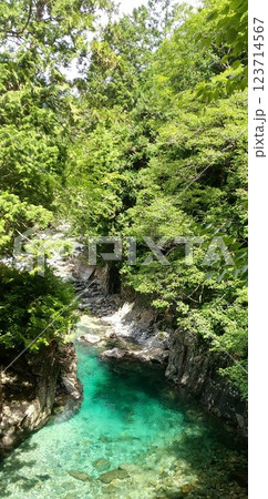 絶景!夏の美しい新緑と阿寺川【長野県、阿寺渓谷】 絶景!夏の美しい新緑と阿寺川【長野県、阿寺渓谷】 123714567