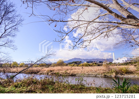樹木の間から見た相模川の風景 樹木の間から見た相模川の風景 123715281