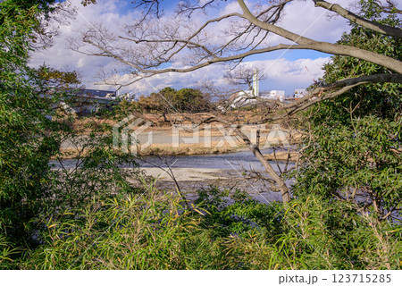 樹木の間から見た相模川の風景 123715285