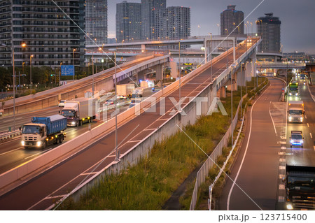 夜の都会を走る車の光跡 123715400