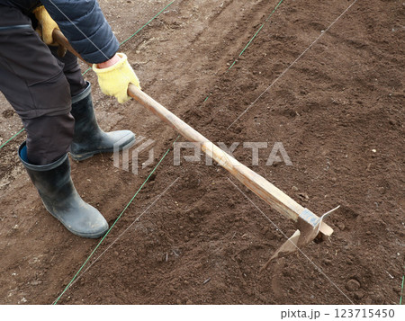 畑で作業する人 123715450