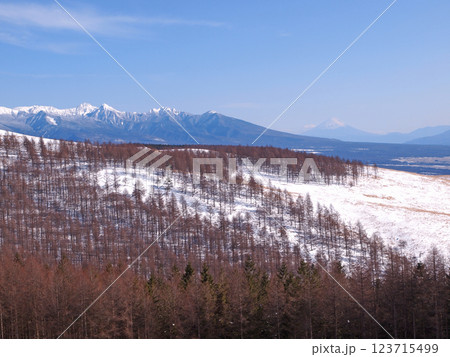 八ヶ岳と富士山 長野県霧ヶ峰高原 八ヶ岳と富士山 長野県霧ヶ峰高原 123715499