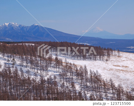八ヶ岳と富士山 長野県霧ヶ峰高原 八ヶ岳と富士山 長野県霧ヶ峰高原 123715500