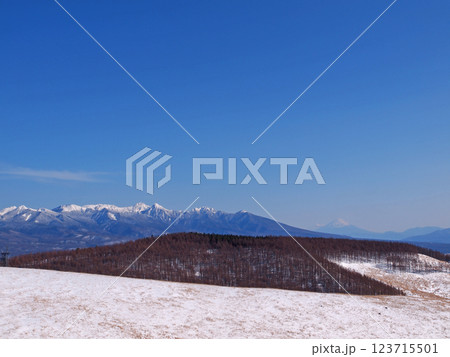 八ヶ岳と富士山 長野県霧ヶ峰高原 八ヶ岳と富士山 長野県霧ヶ峰高原 123715501