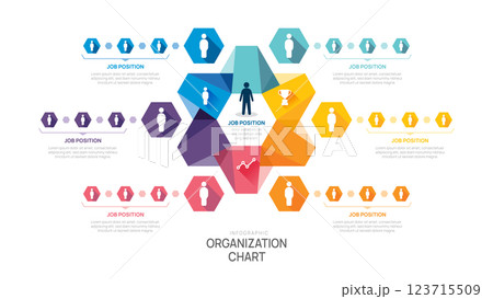 organization chart Infographic hexagon template for business avatar icons. 123715509