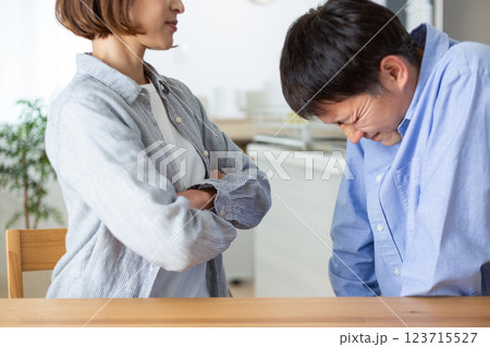 喧嘩をするミドル夫婦 123715527