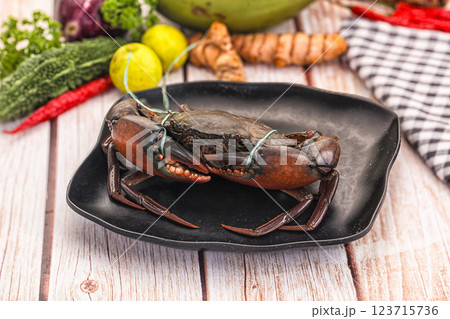 Wild raw crab for cooking Wild raw crab for cooking 123715736