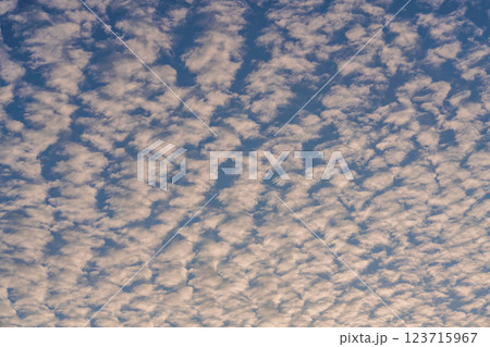 【静岡県】中田島砂丘・上空の鱗雲 【静岡県】中田島砂丘・上空の鱗雲 123715967