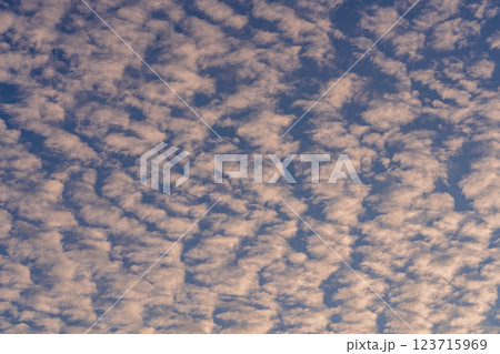 【静岡県】中田島砂丘・上空の鱗雲 123715969
