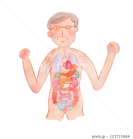 元気な高齢の男性と内臓の水彩イラスト 元気な高齢の男性と内臓の水彩イラスト 123715984